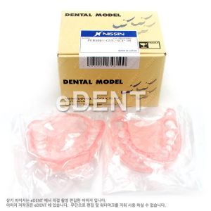 Study model Teeth Soft Gingival(잇몸만)