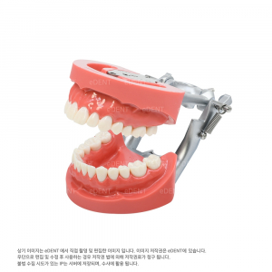 실습용 모형