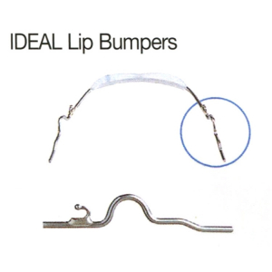 [교환/반품불가] IDEAL Lip Bumper