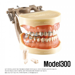 실습모델 model 300(소프트타입)