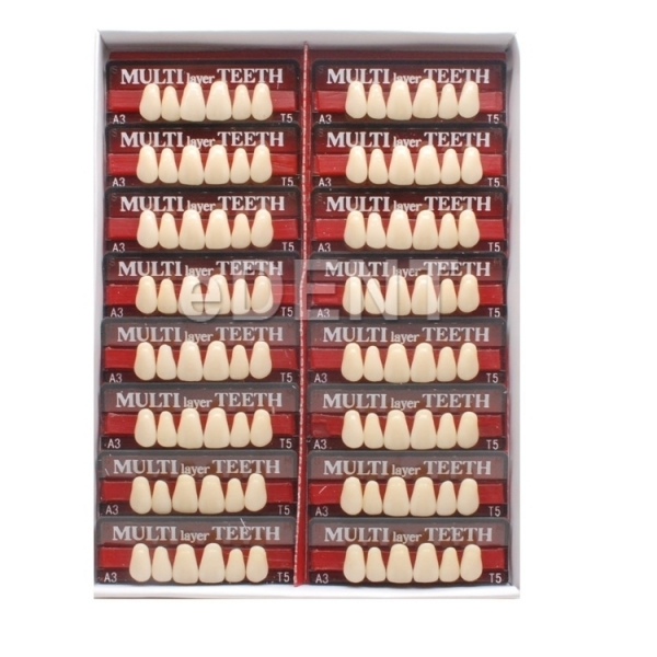 (주)이덴트 치과재료·치과의약품 전문,Multi-Layer (Acrylic Resin Teeth) 전치 T6