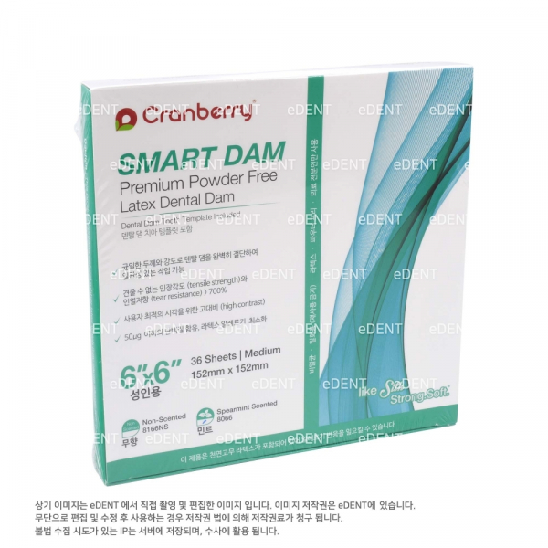 (주)이덴트 치과재료·치과의약품 전문,Premium Smart Dam 6x6 (민트향)