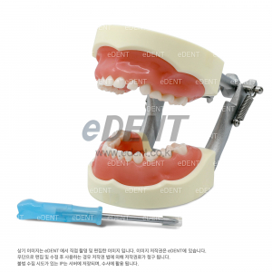 소아용 실습모형