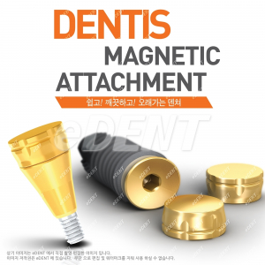 s-Clean Magnetic Attachment (keeper+retainer)