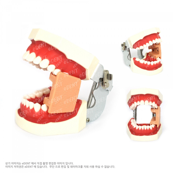 (주)이덴트 치과재료·치과의약품 전문,[초특가] Mouth Prop