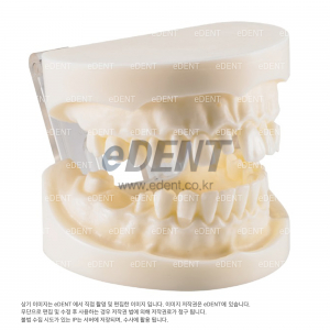 베이직 트레이닝 모델(Basic Training Model)
