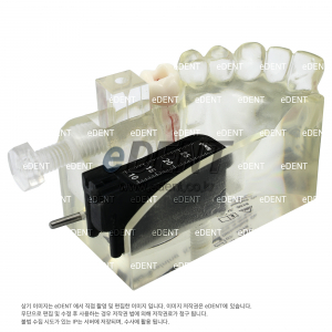 Endo Training Kit