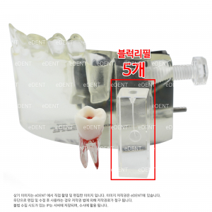 Endo Training Block