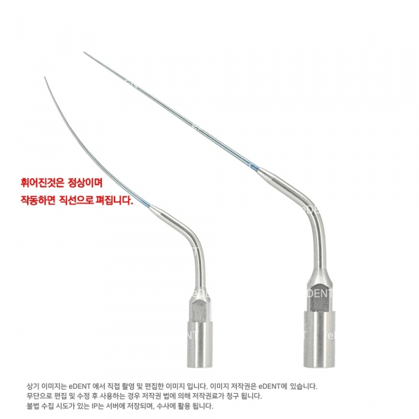 (주)이덴트 치과재료·치과의약품 전문,GT Blue Tip (Irrigation Tip Ni-Ti)