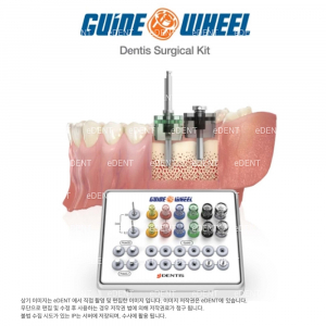 Guide Wheel 패키지 (원가격:276,000원)