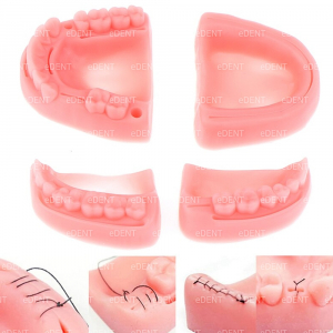 Suture Training Model