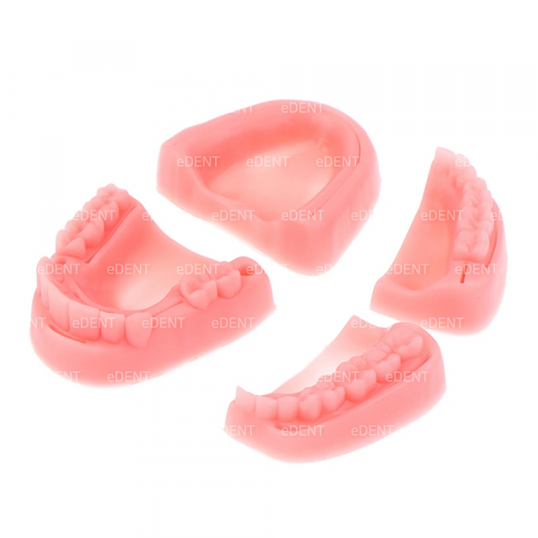 (주)이덴트 치과재료·치과의약품 전문,Suture Training Model