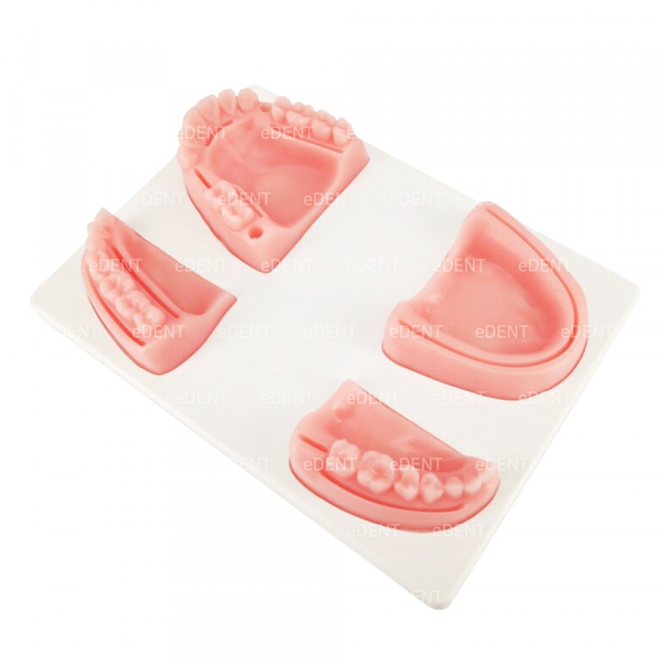 (주)이덴트 치과재료·치과의약품 전문,Suture Training Model