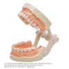 주식회사 이덴트