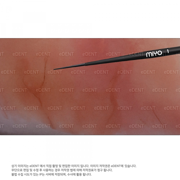 (주)이덴트 치과재료·치과의약품 전문,MiYO Brushes