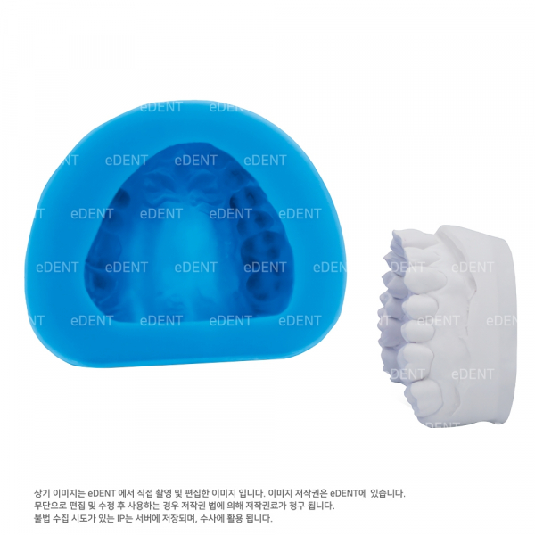 (주)이덴트 치과재료·치과의약품 전문,DUPLISOLE 24
