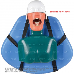 Dental Manikin Phantom Head