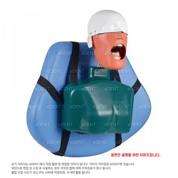 (주)이덴트 치과재료·치과의약품 전문,Dental Manikin Phantom Head