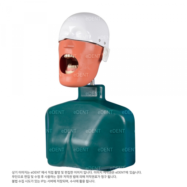 (주)이덴트 치과재료·치과의약품 전문,Dental Manikin Phantom Head