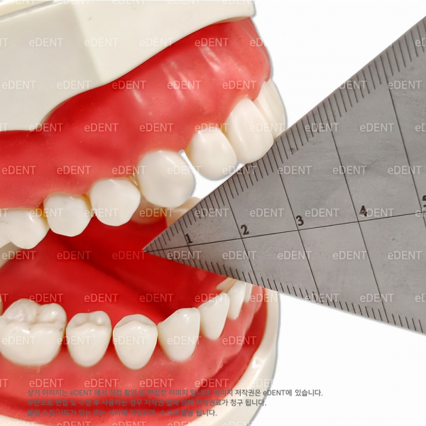 (주)이덴트 치과재료·치과의약품 전문,Bite Gauge Caliper