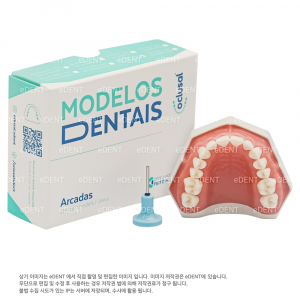 Modelos dentais Typodont