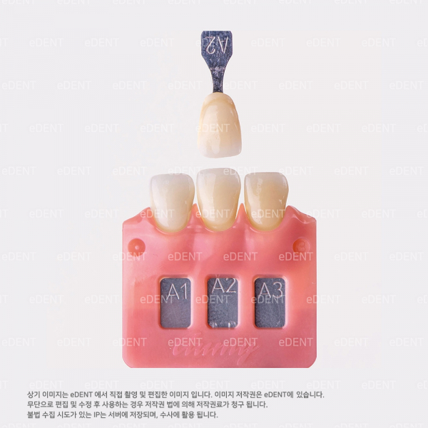 (주)이덴트 치과재료·치과의약품 전문,GUMY-V