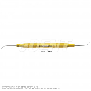 Waxing & Carving Instruments(PKT 조각도)
