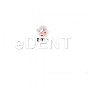 Esther MB Roth .022 (레진브라켓)