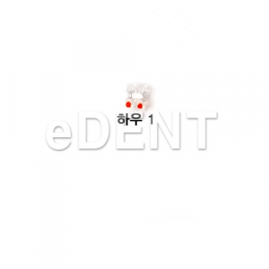 Esther MB Roth .022 (레진브라켓)